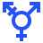 transgender